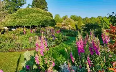 Les Jardins de Coursiana